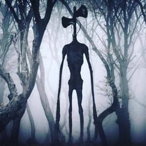 Meet your Posher, Maya